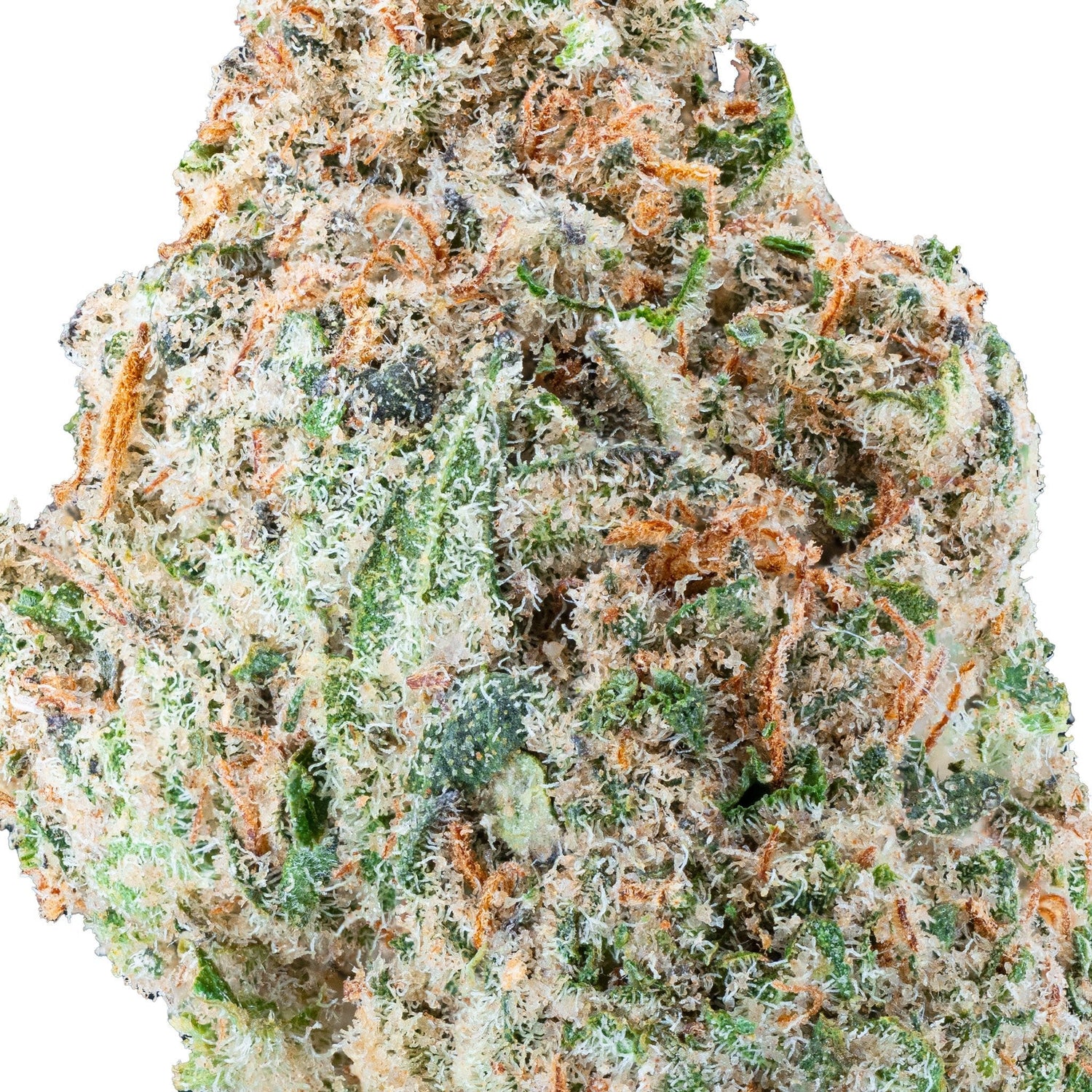 Cereal Milk – THCa Flower - Bay Smokes