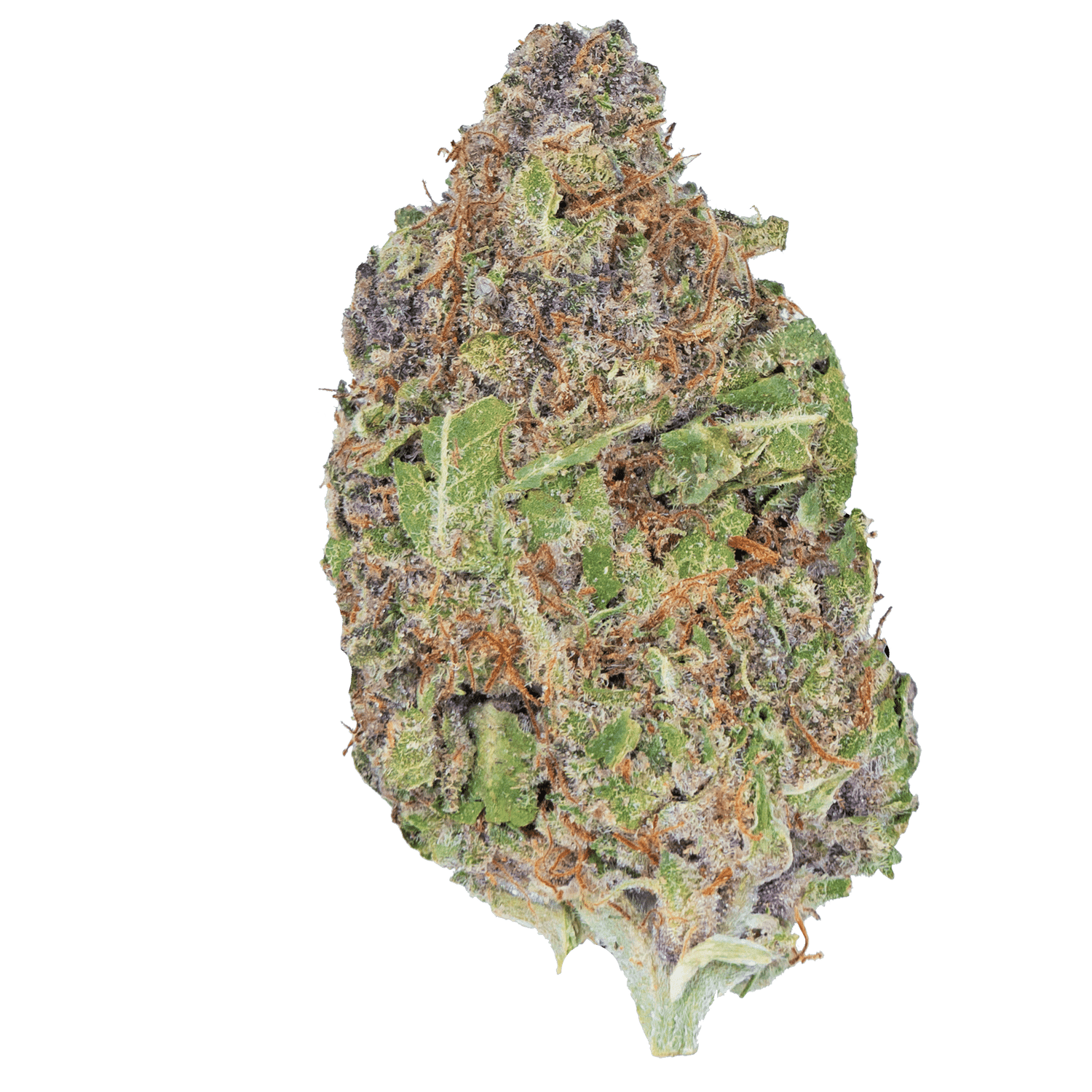 Cereal Milk – THCa Flower - Bay Smokes