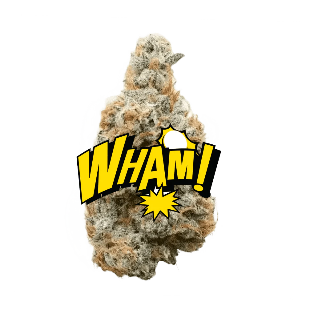 Lil Baby THC - WHAM! - Bay Smokes