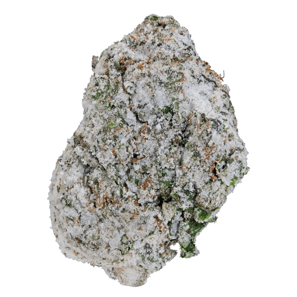 Cracker Pack - Bay Smokes