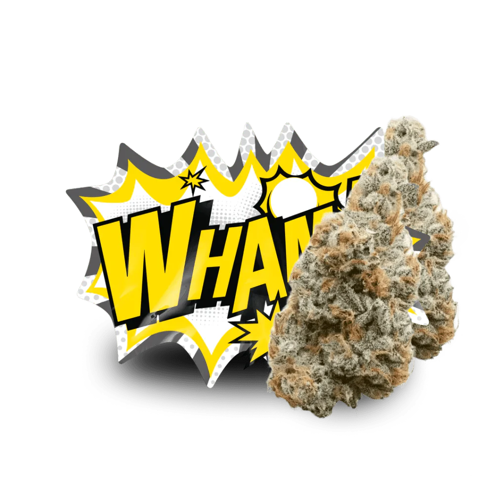 Lil Baby THC - WHAM! - Bay Smokes